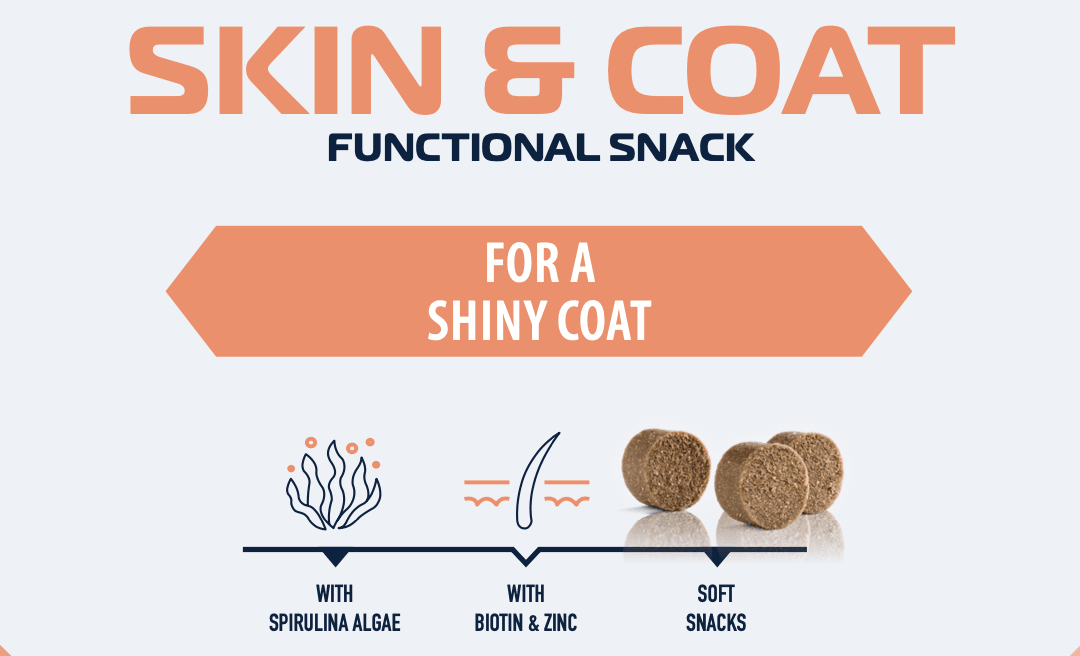 Skin & Coat Care Snack - Image 3