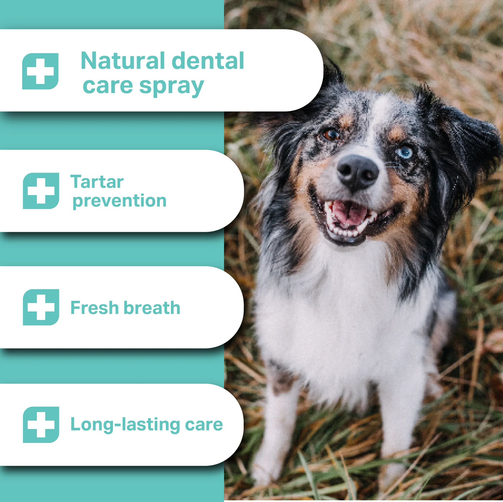 Medidog Dental Fresh & Clean 250ml - Image 3