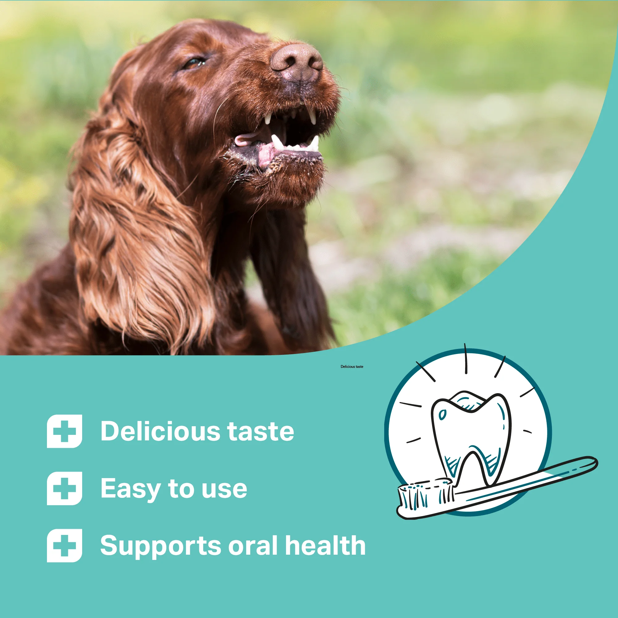 Medidog Dental Fresh & Clean 250ml - Image 5