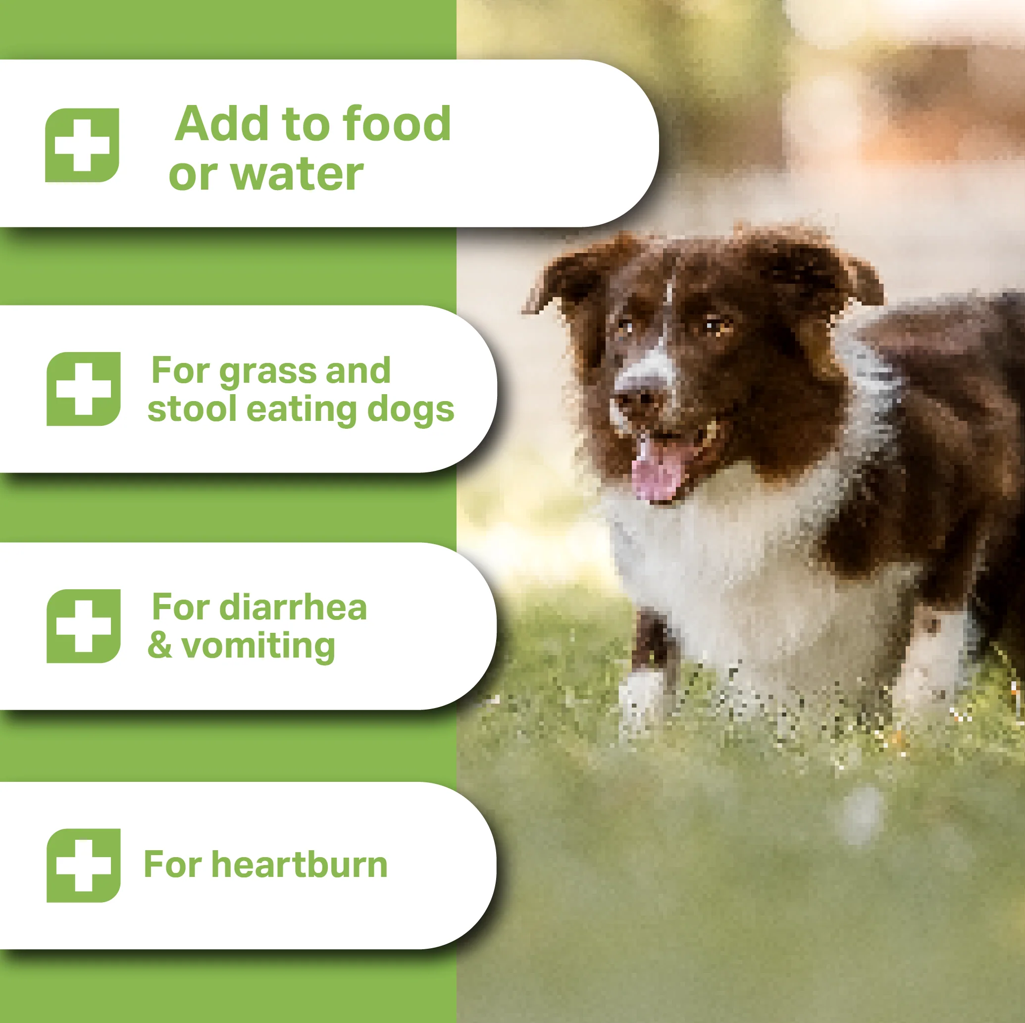 Medidog Probiotic-Vital drink 250ml - Image 3