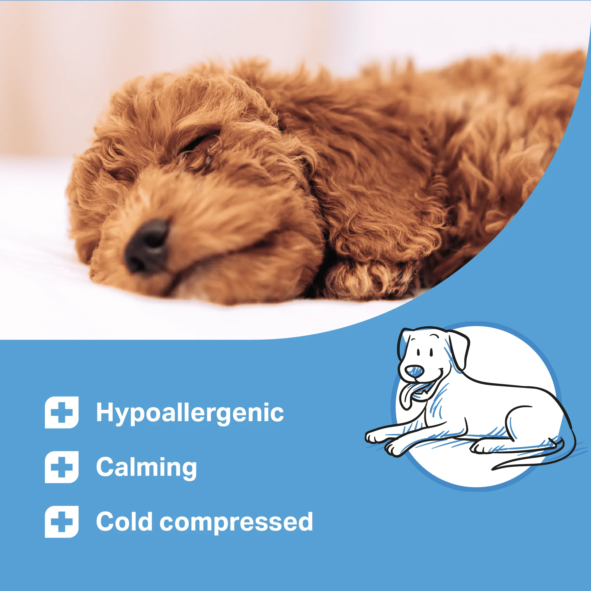 Medidog Calming Treats For Anxiety 400g - Image 4