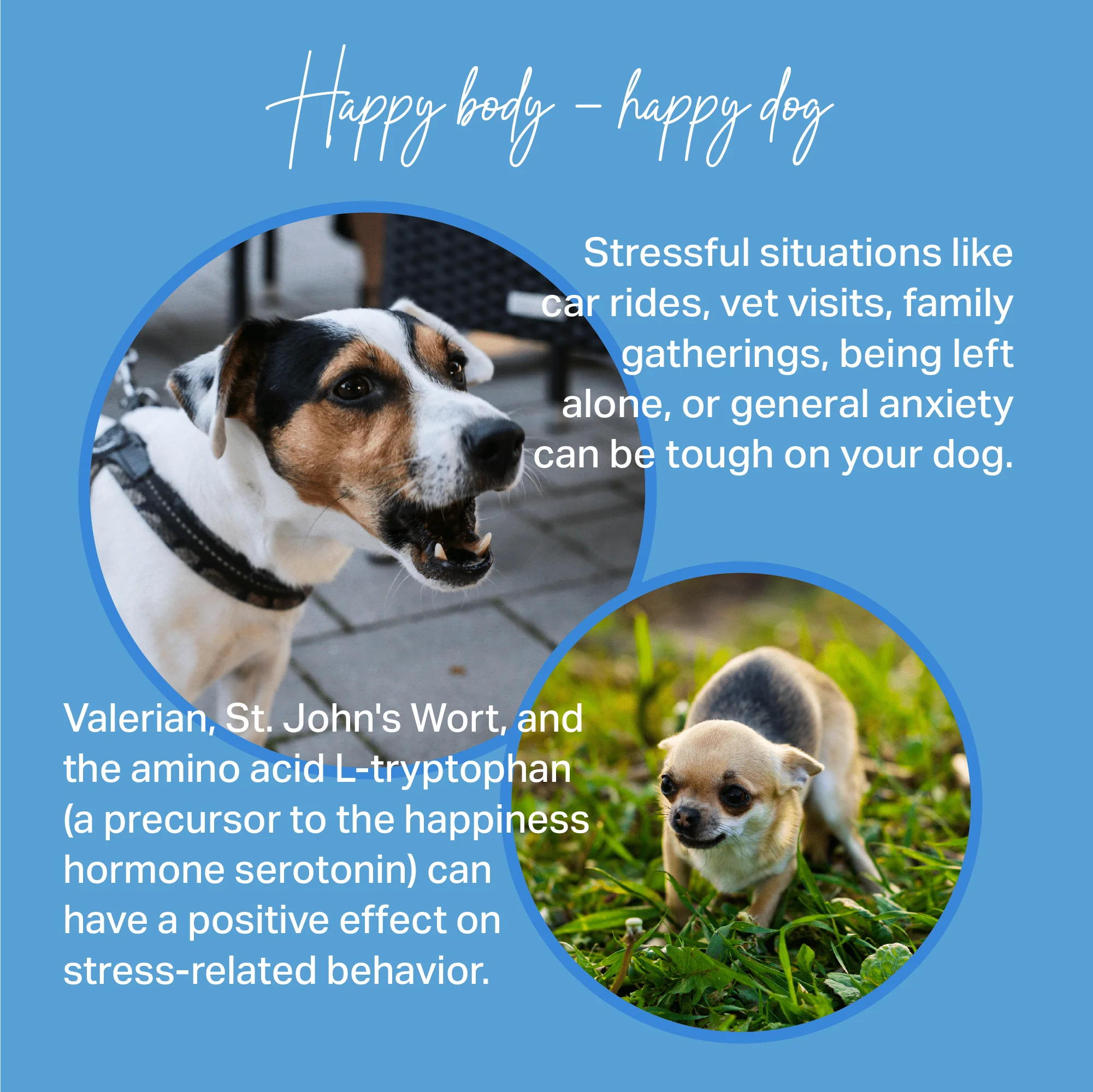 Medidog Calming Treats For Anxiety 400g - Image 6