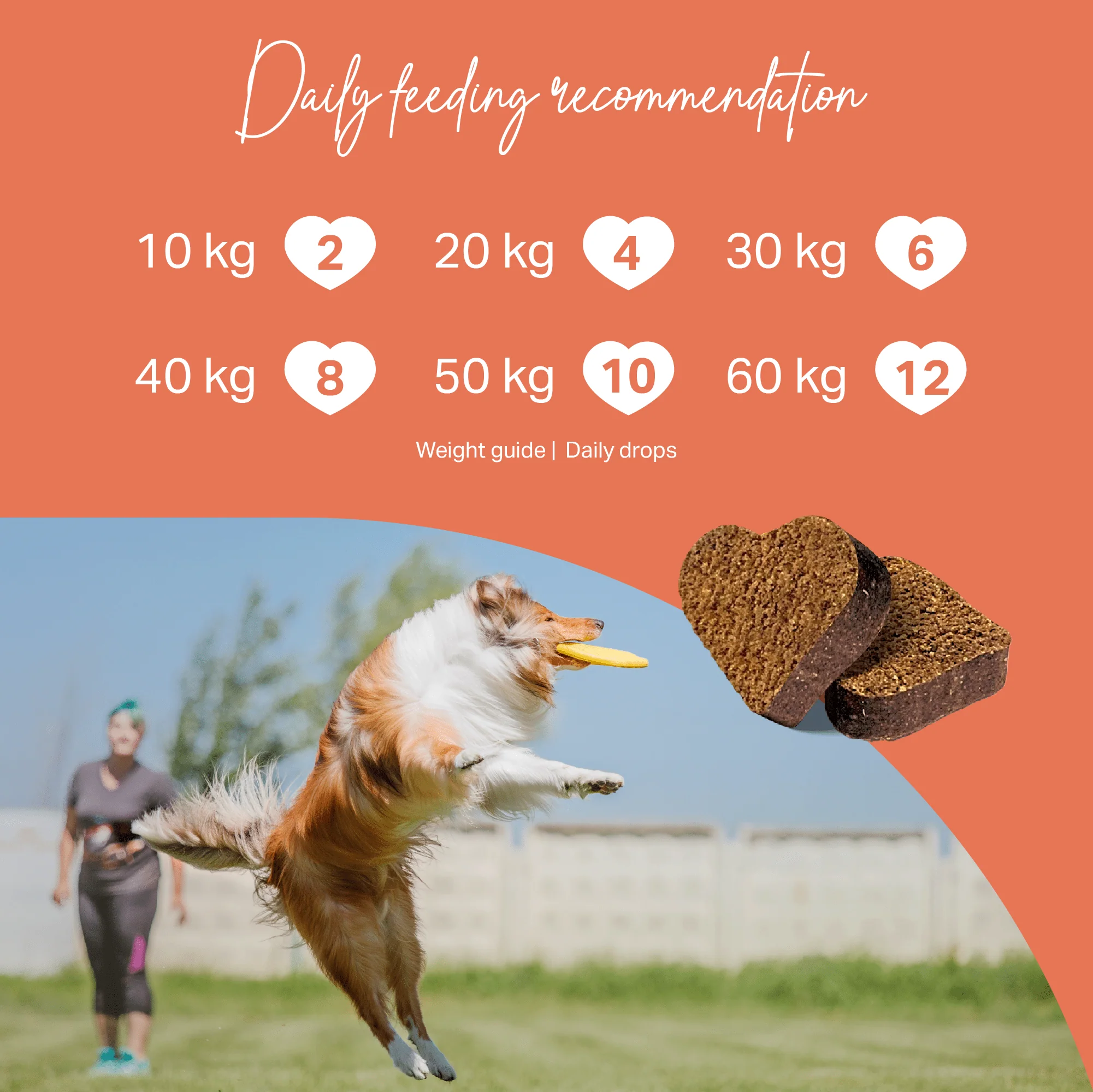 Medidog Joint Active Drops 400g - Image 3