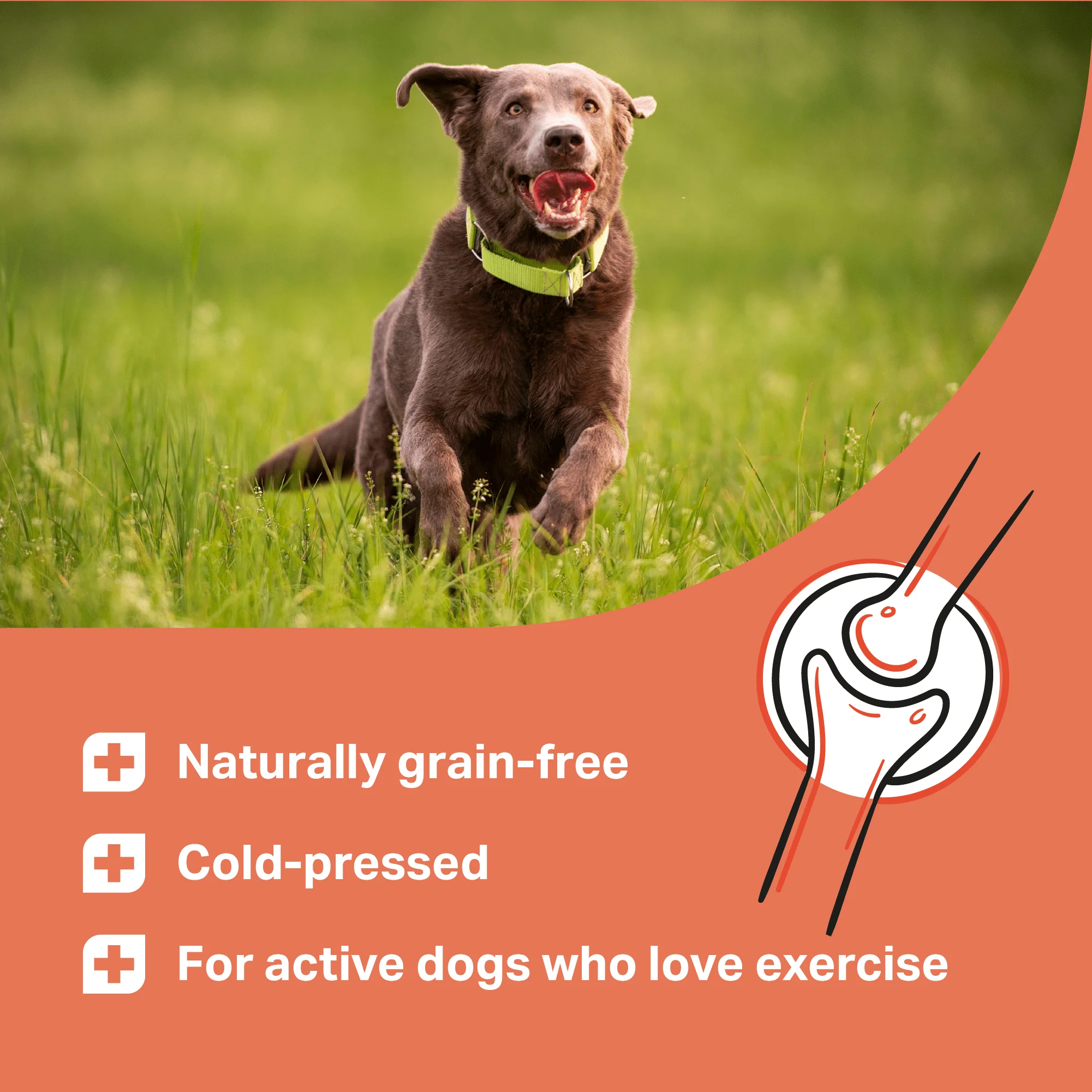 Medidog Joint Active Drops 400g - Image 4