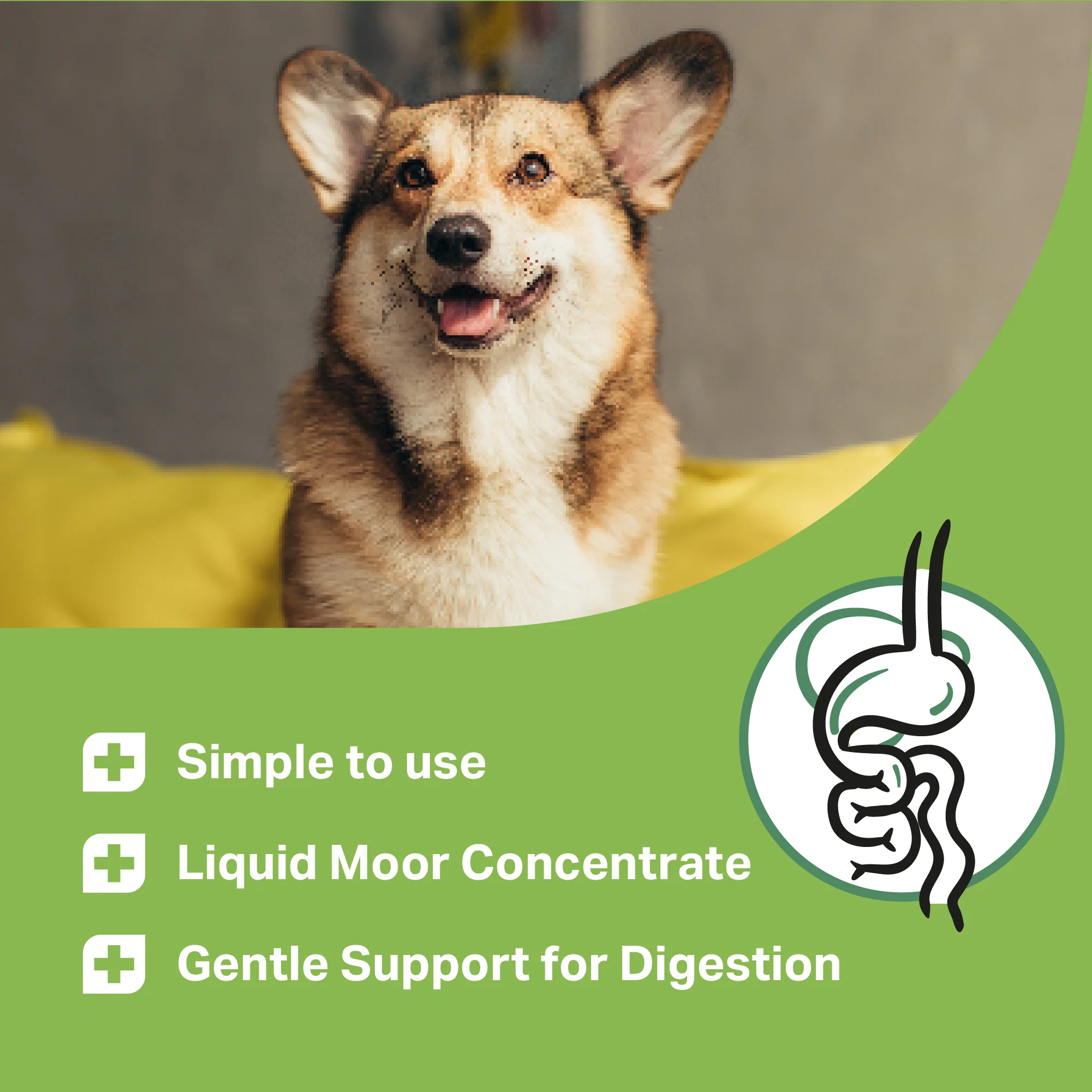 Medidog Slippery Elm Bark Paste 500g - Image 7
