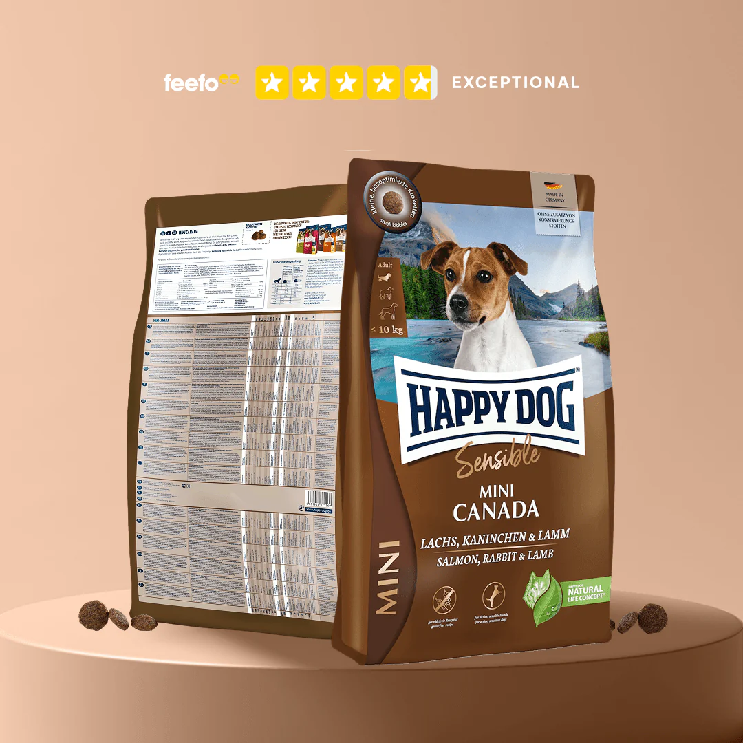 Mini Canada - Sensitive Dog - Image 6
