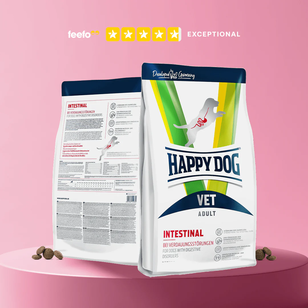 Vet Intestinal Low Fat - Image 4
