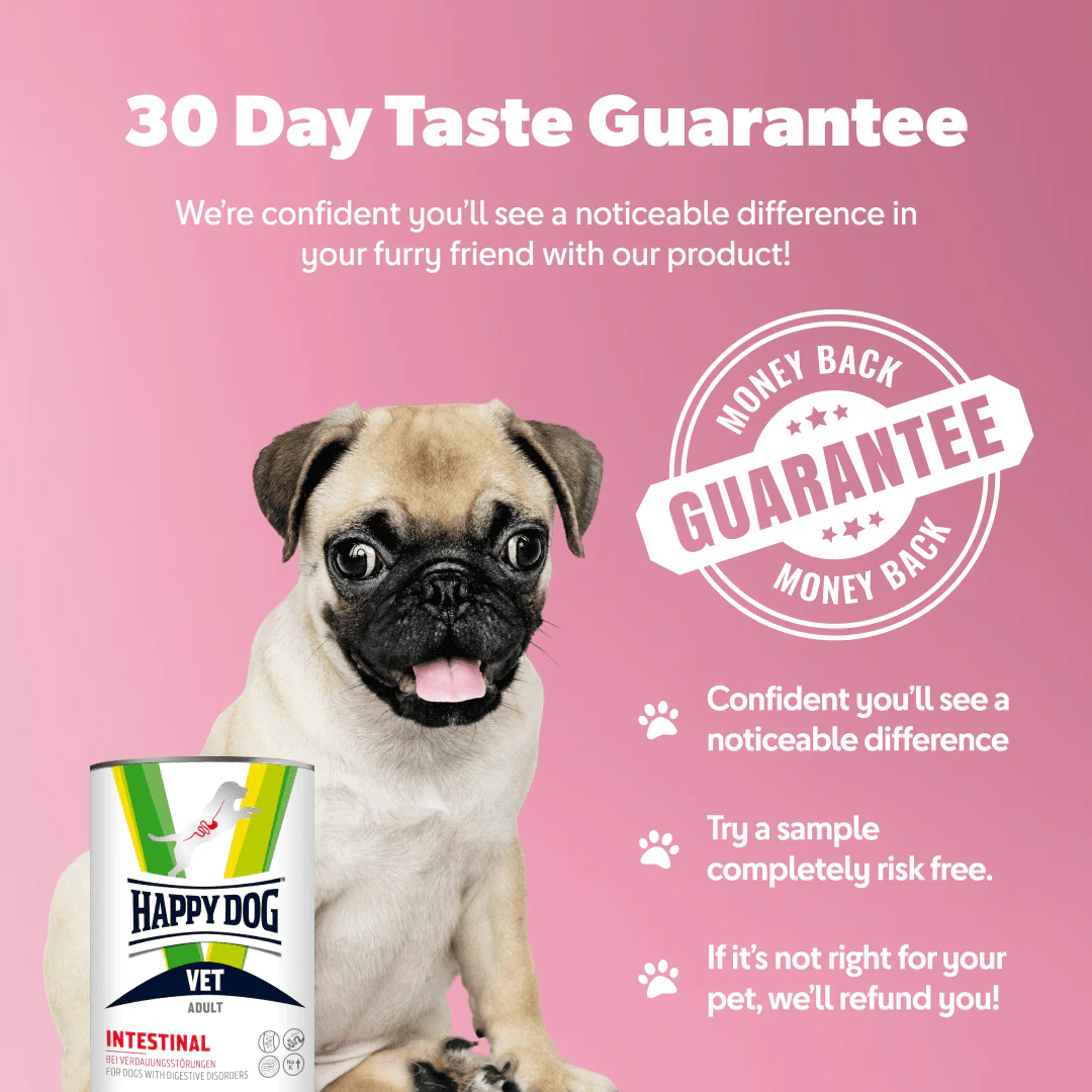 Vet Intestinal Wet Dog Food - Image 3