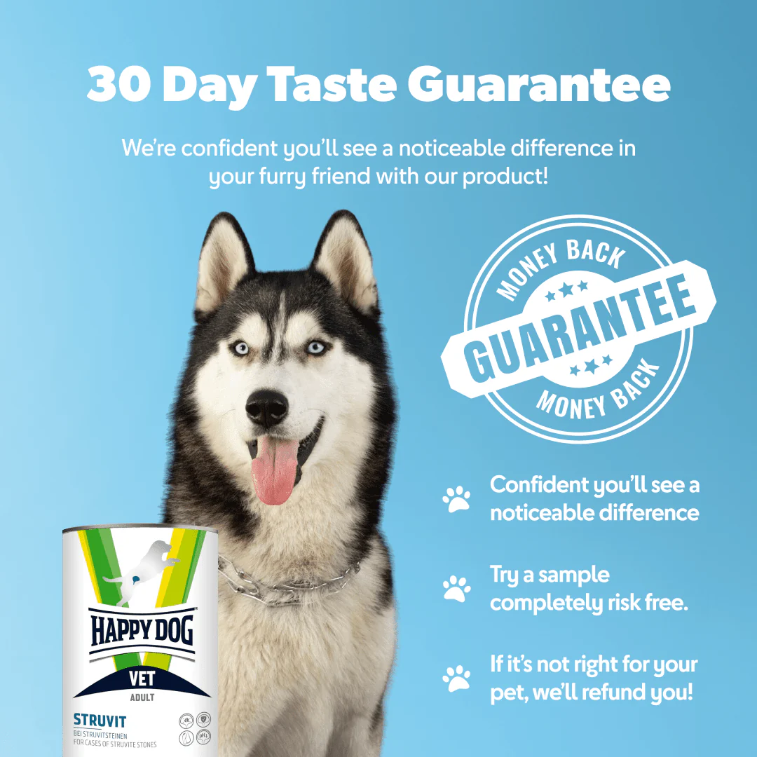 Vet Struvit Wet Dog Food - Image 3
