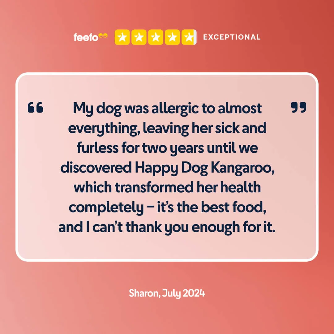 Pure Kangaroo Wet Dog Food (Australia) - Image 4
